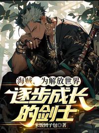 海贼，为解放世界逐步成长的剑士